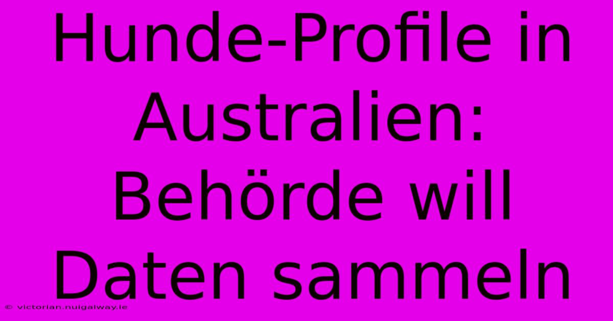 Hunde-Profile In Australien: Behörde Will Daten Sammeln