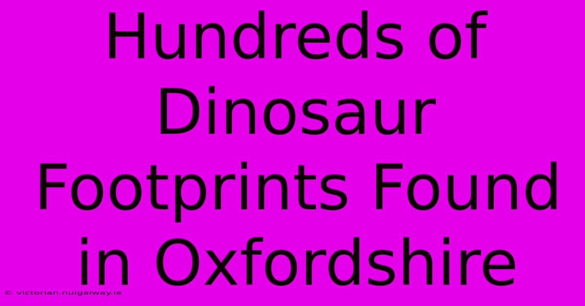 Hundreds Of Dinosaur Footprints Found In Oxfordshire