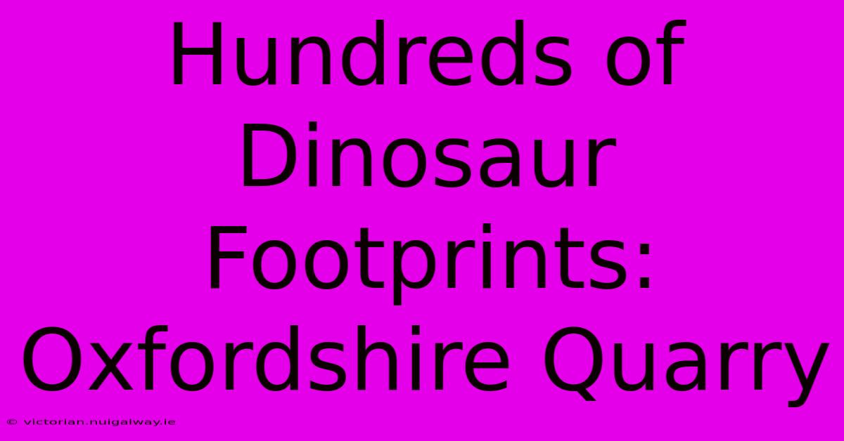 Hundreds Of Dinosaur Footprints: Oxfordshire Quarry