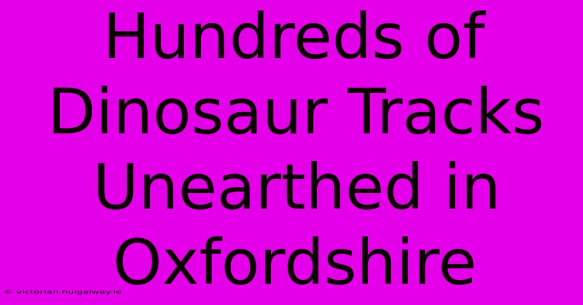 Hundreds Of Dinosaur Tracks Unearthed In Oxfordshire