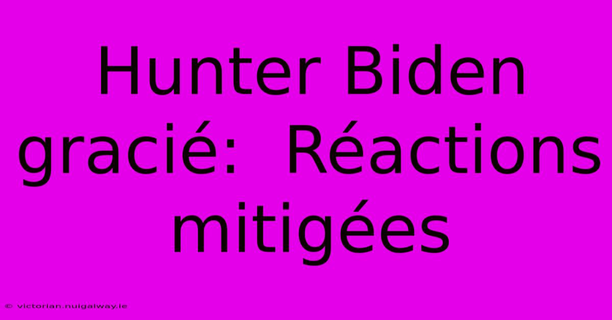 Hunter Biden Gracié:  Réactions Mitigées