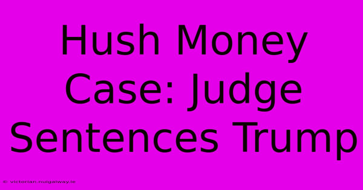 Hush Money Case: Judge Sentences Trump