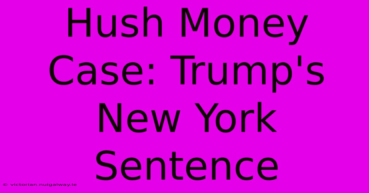 Hush Money Case: Trump's New York Sentence