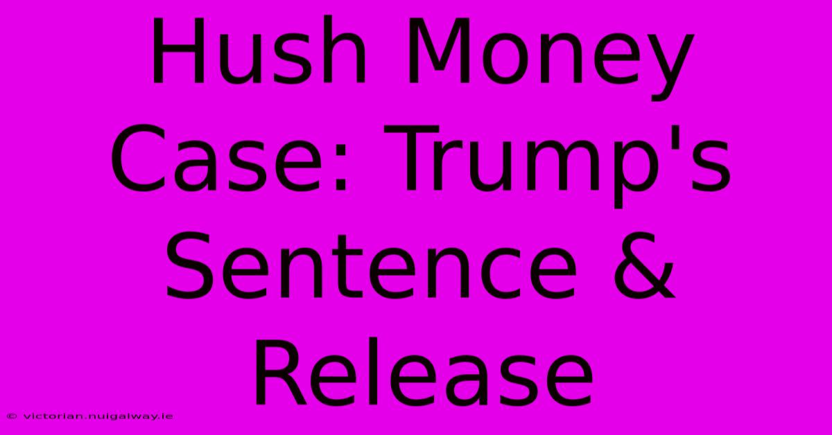 Hush Money Case: Trump's Sentence & Release