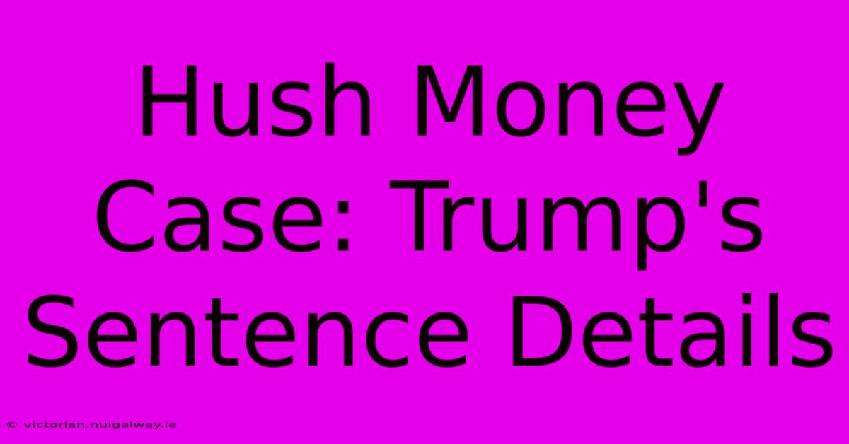 Hush Money Case: Trump's Sentence Details