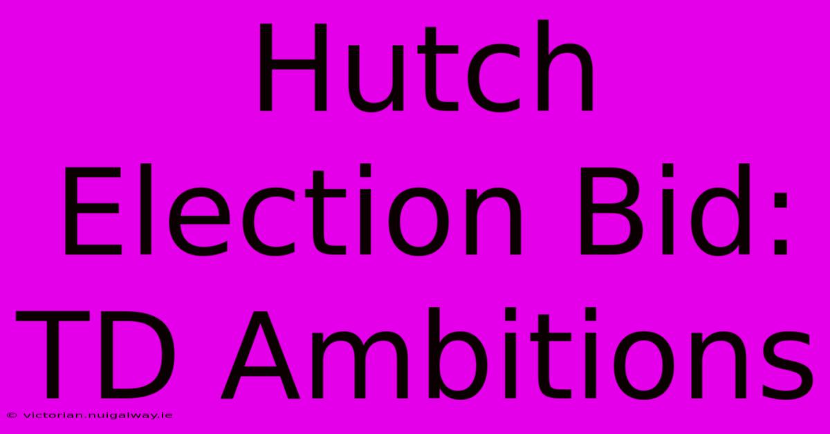 Hutch Election Bid: TD Ambitions