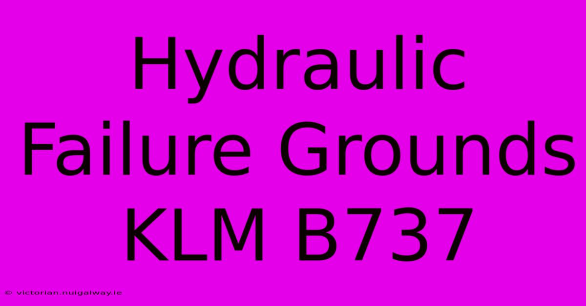 Hydraulic Failure Grounds KLM B737