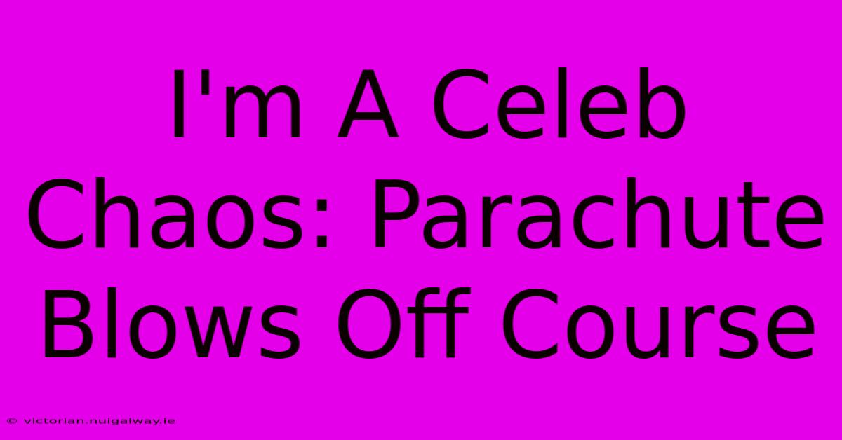 I'm A Celeb Chaos: Parachute Blows Off Course 