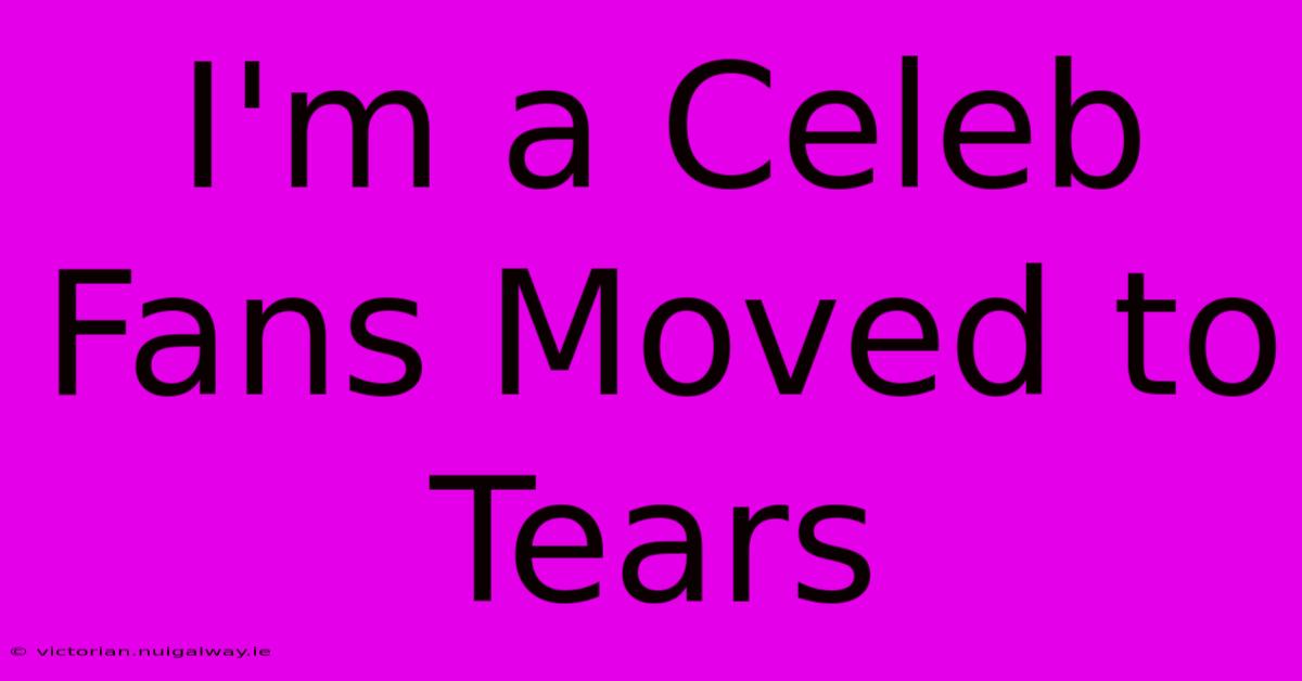 I'm A Celeb Fans Moved To Tears