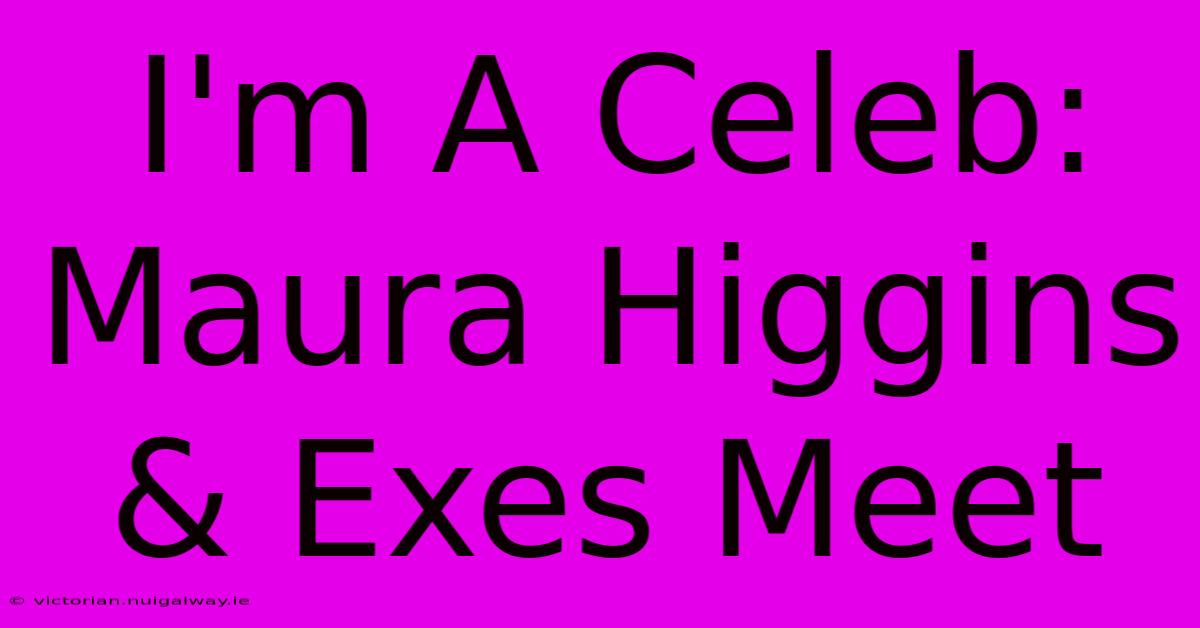 I'm A Celeb: Maura Higgins & Exes Meet