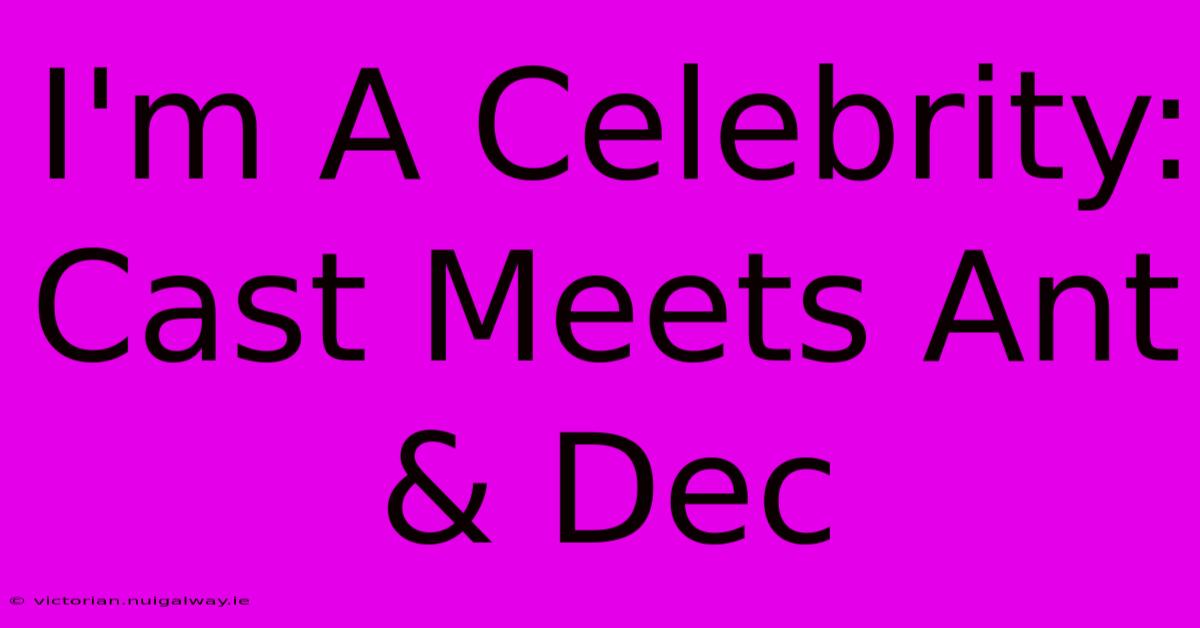 I'm A Celebrity: Cast Meets Ant & Dec