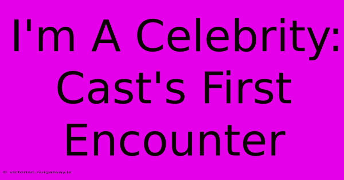 I'm A Celebrity: Cast's First Encounter