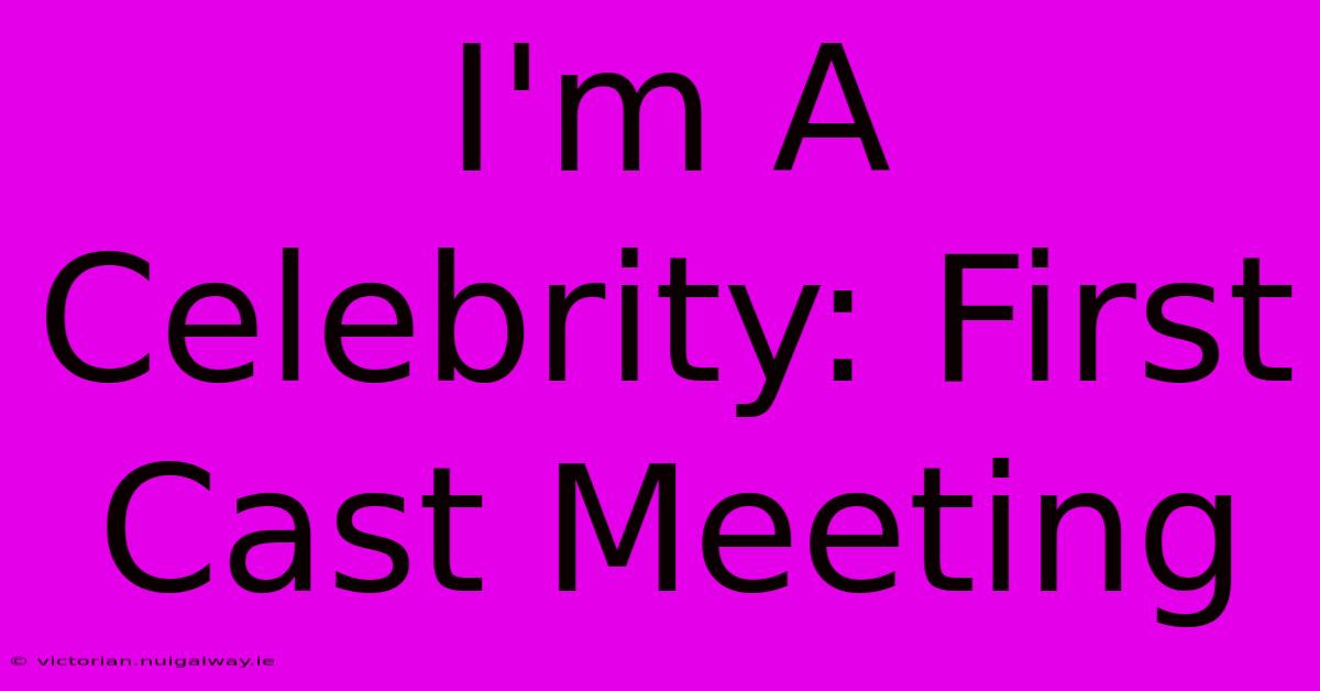 I'm A Celebrity: First Cast Meeting