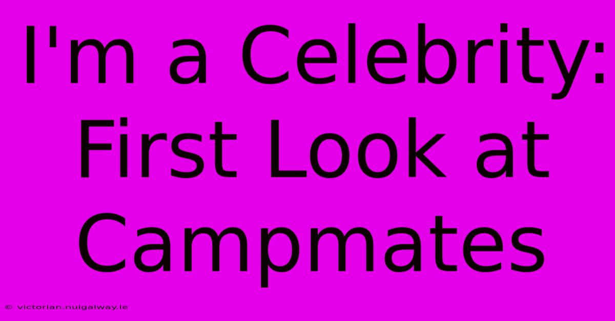 I'm A Celebrity: First Look At Campmates