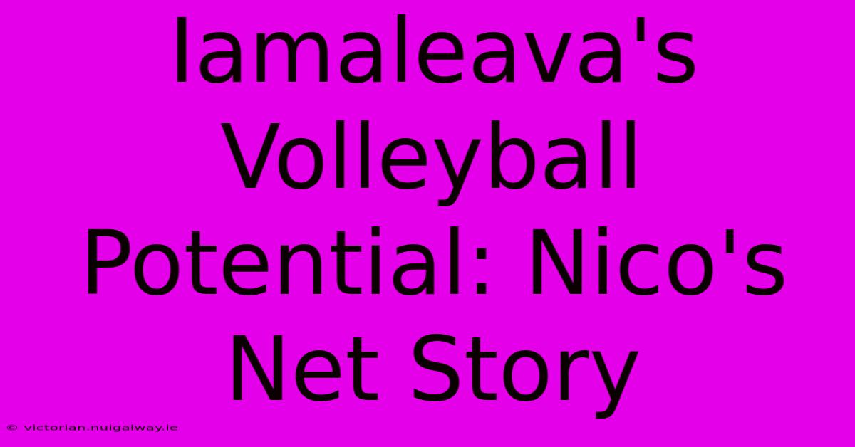 Iamaleava's Volleyball Potential: Nico's Net Story