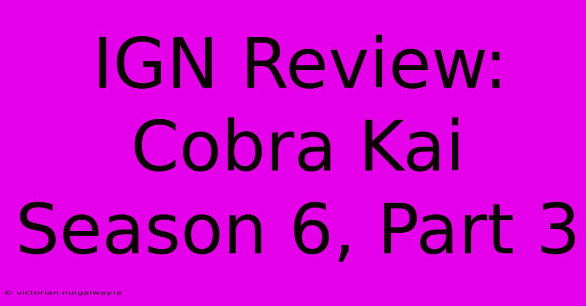 IGN Review: Cobra Kai Season 6, Part 3