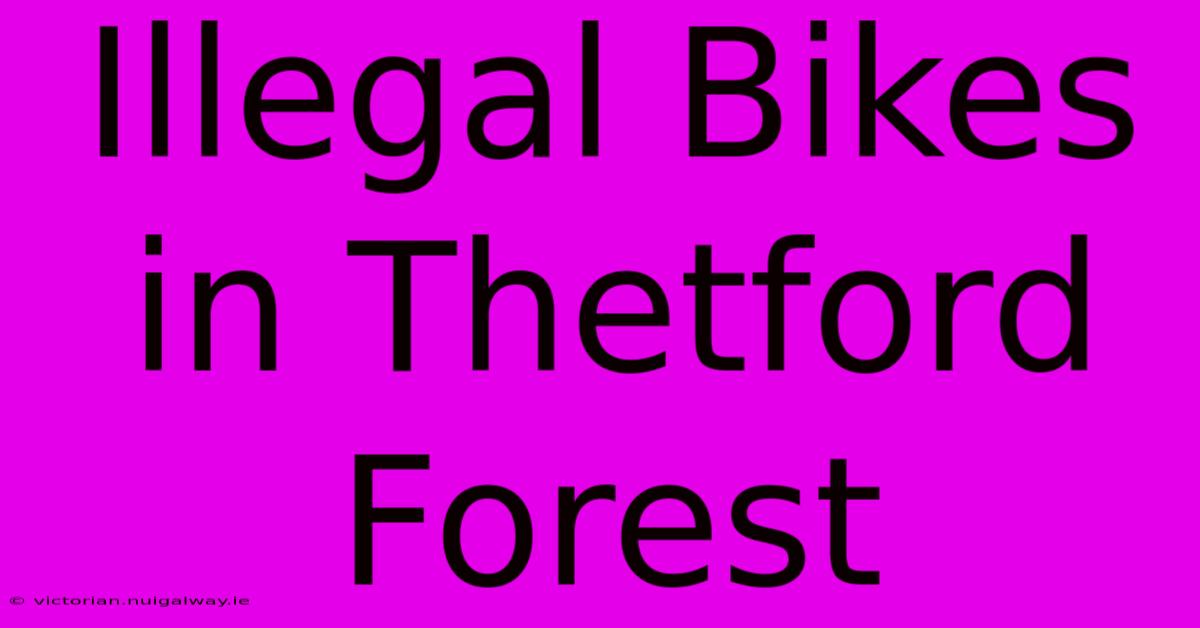 Illegal Bikes In Thetford Forest