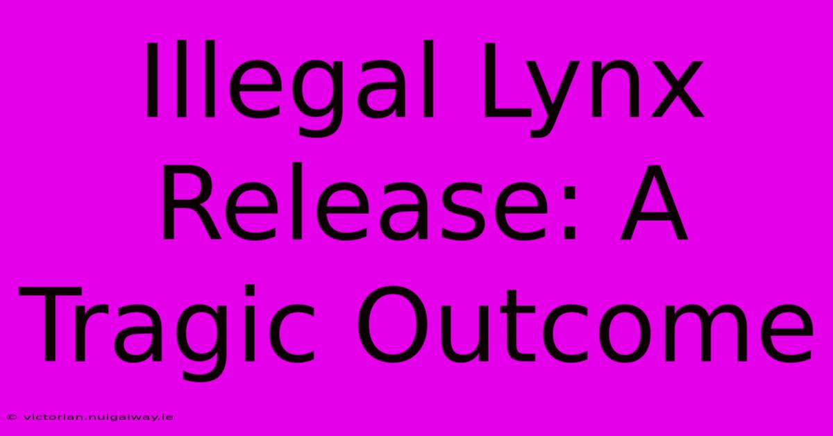 Illegal Lynx Release: A Tragic Outcome