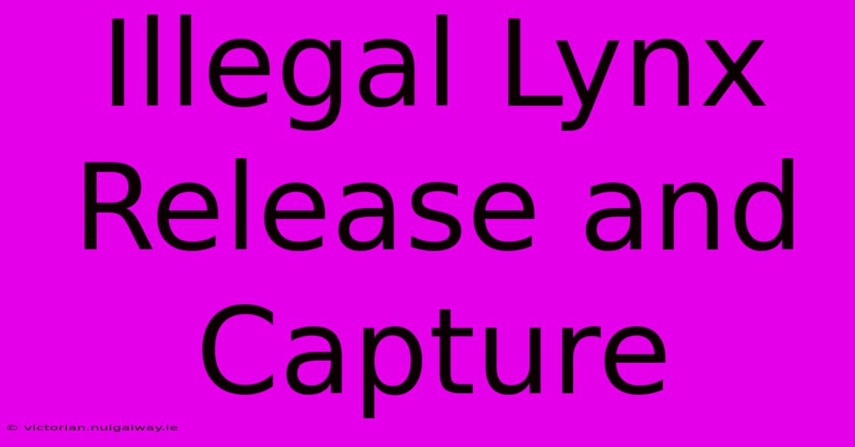 Illegal Lynx Release And Capture