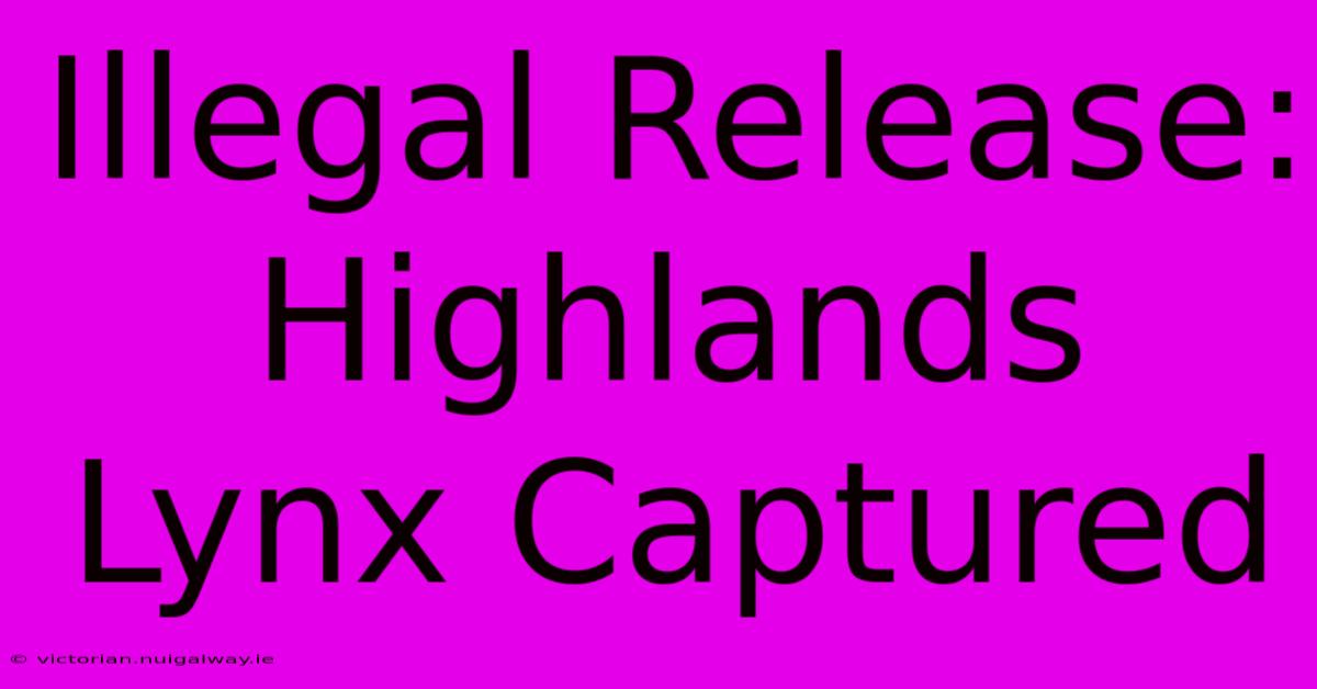 Illegal Release: Highlands Lynx Captured