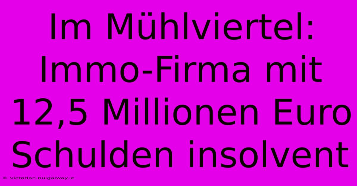 Im Mühlviertel: Immo-Firma Mit 12,5 Millionen Euro Schulden Insolvent 