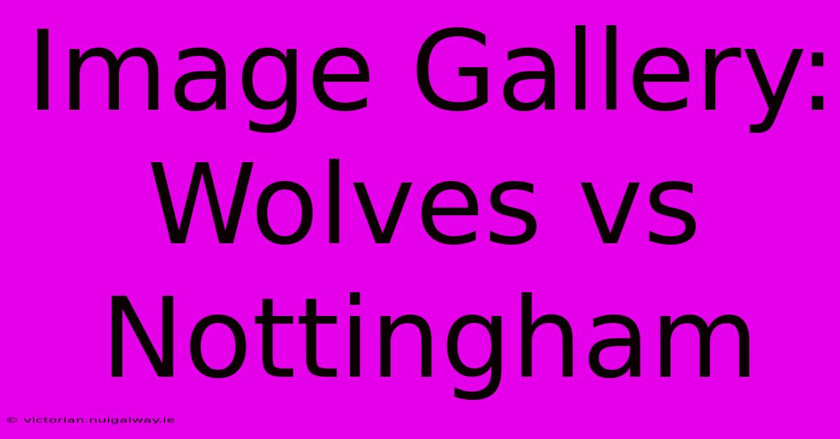 Image Gallery: Wolves Vs Nottingham