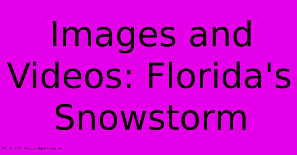 Images And Videos: Florida's Snowstorm