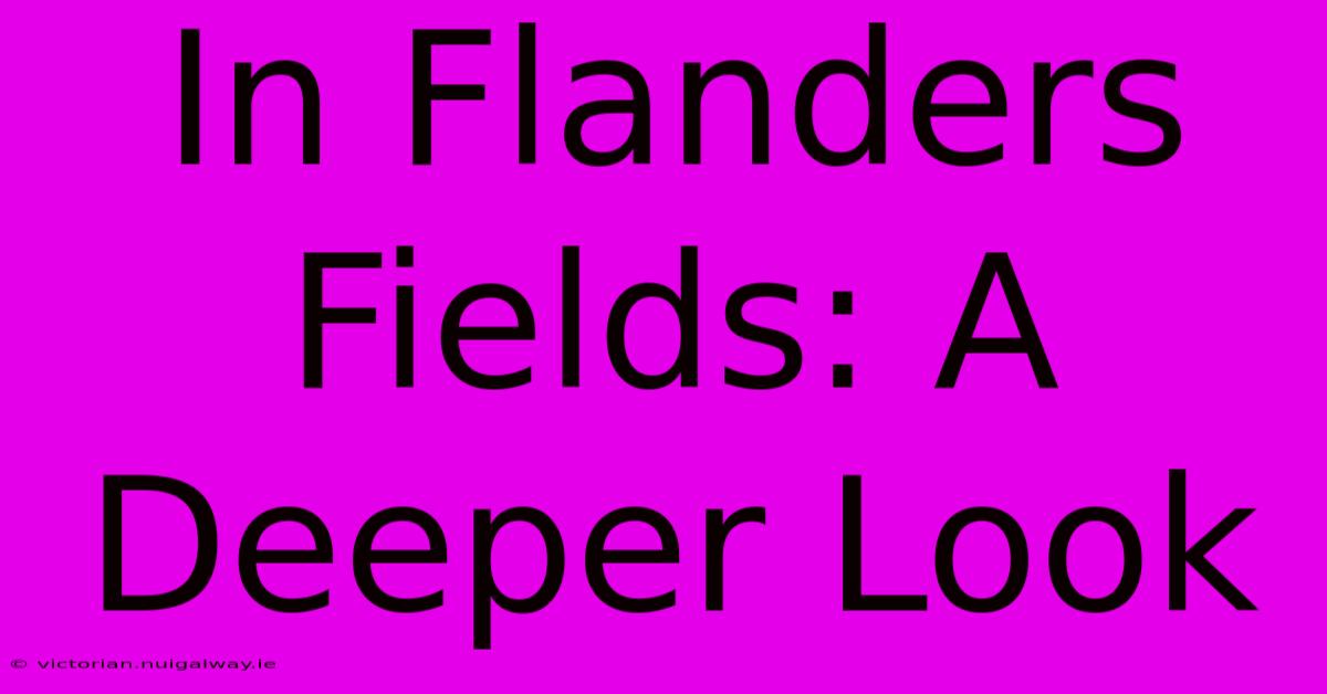 In Flanders Fields: A Deeper Look