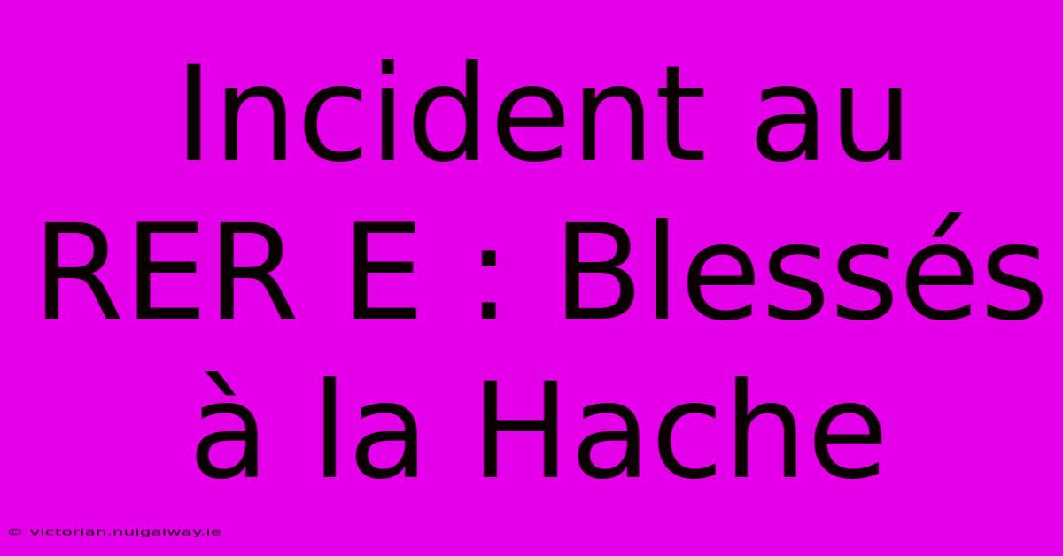 Incident Au RER E : Blessés À La Hache