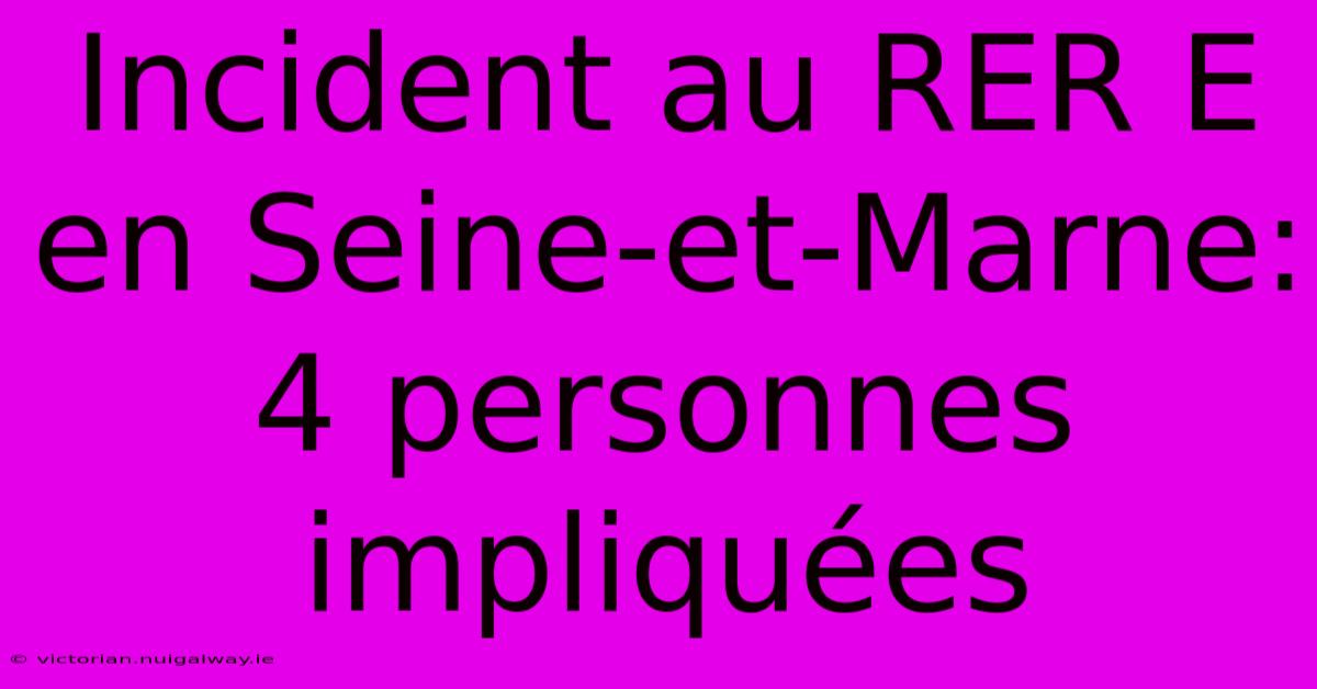 Incident Au RER E En Seine-et-Marne: 4 Personnes Impliquées 