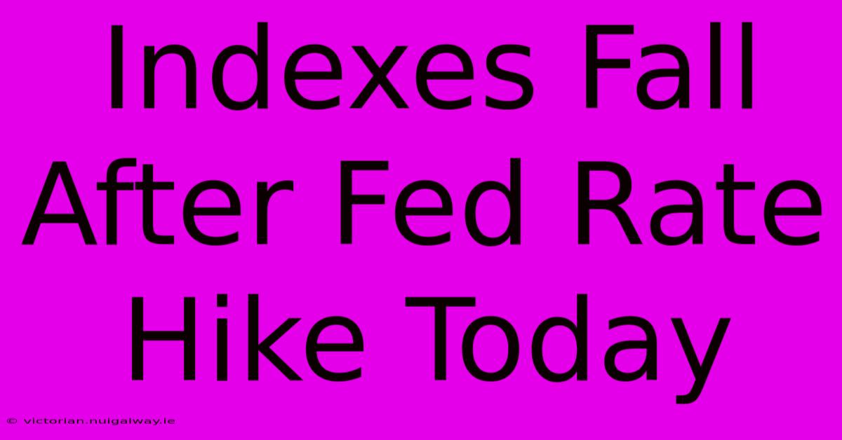 Indexes Fall After Fed Rate Hike Today