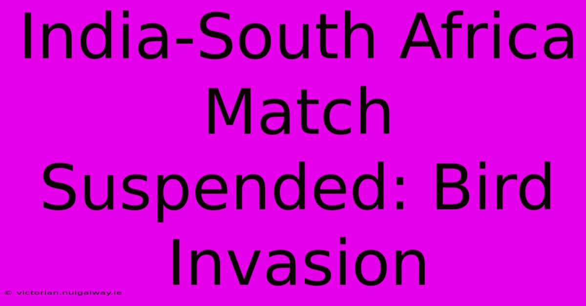 India-South Africa Match Suspended: Bird Invasion