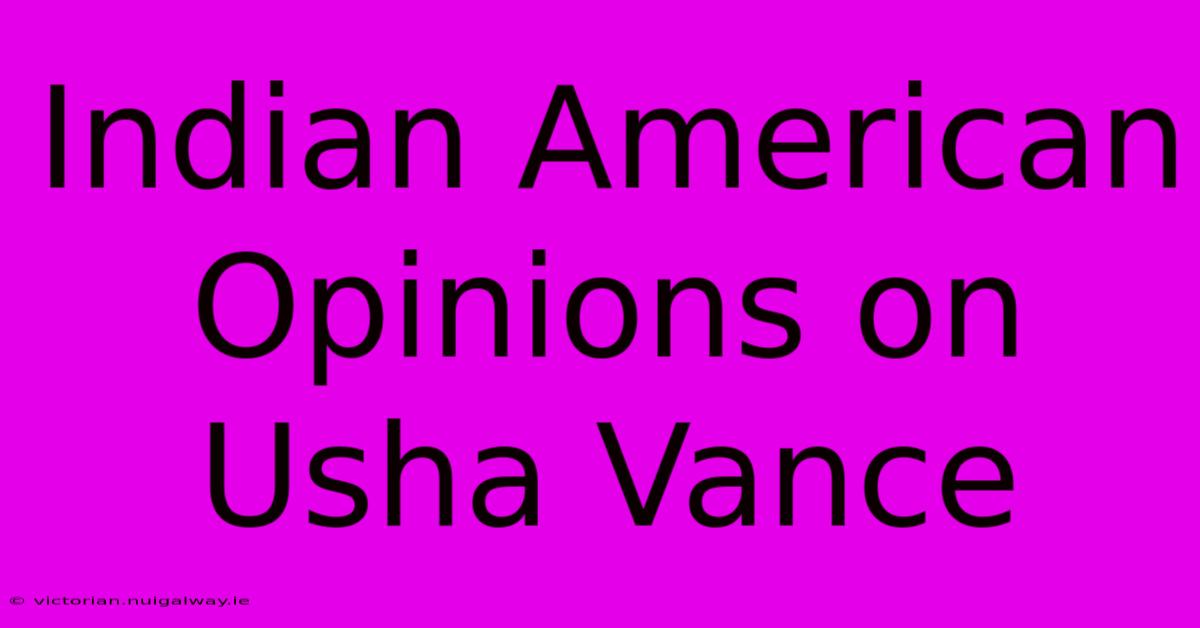 Indian American Opinions On Usha Vance