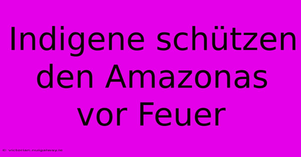 Indigene Schützen Den Amazonas Vor Feuer