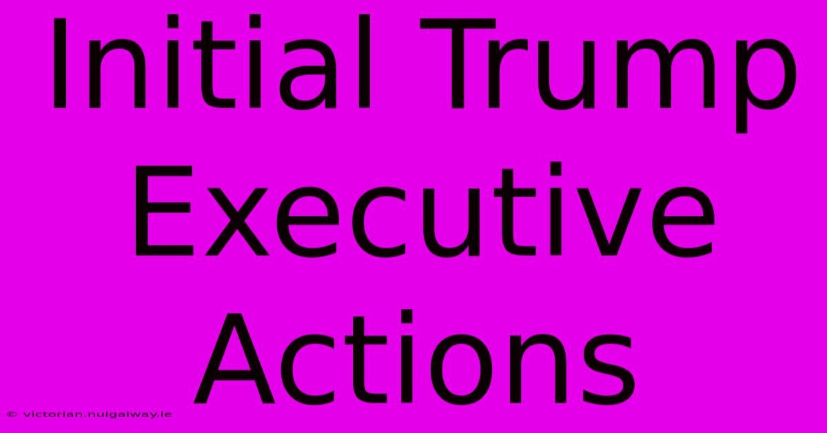 Initial Trump Executive Actions