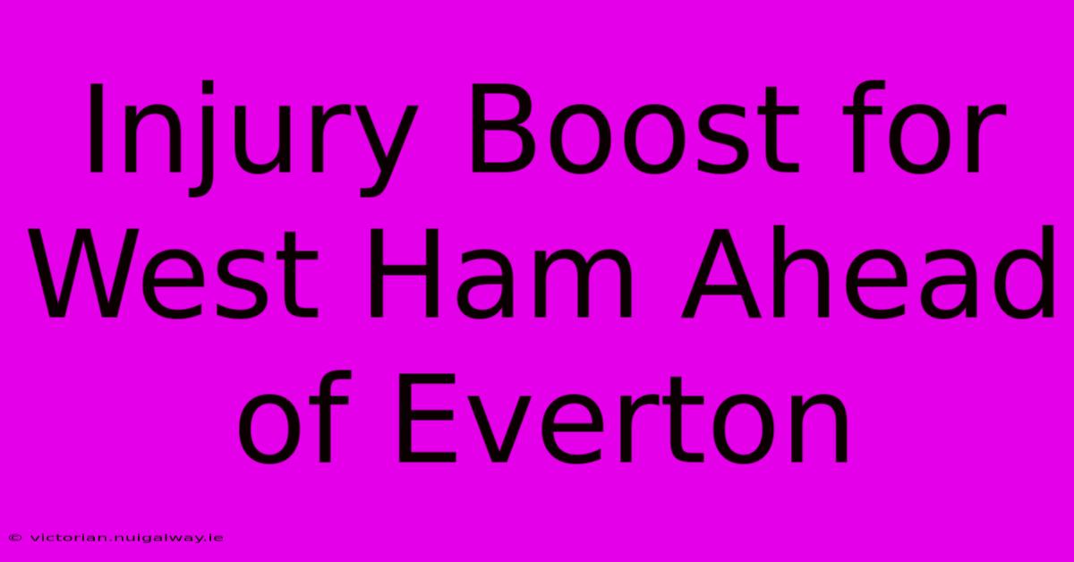 Injury Boost For West Ham Ahead Of Everton