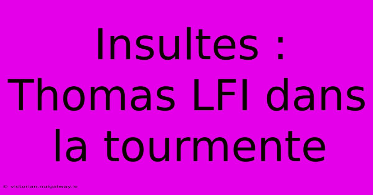 Insultes : Thomas LFI Dans La Tourmente 