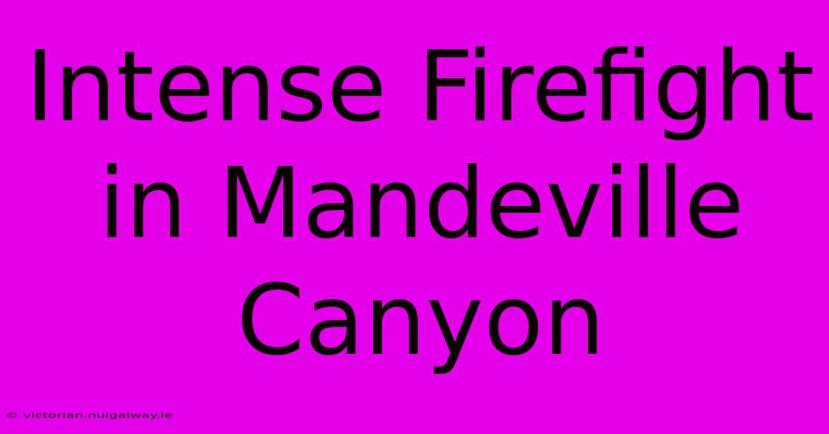 Intense Firefight In Mandeville Canyon