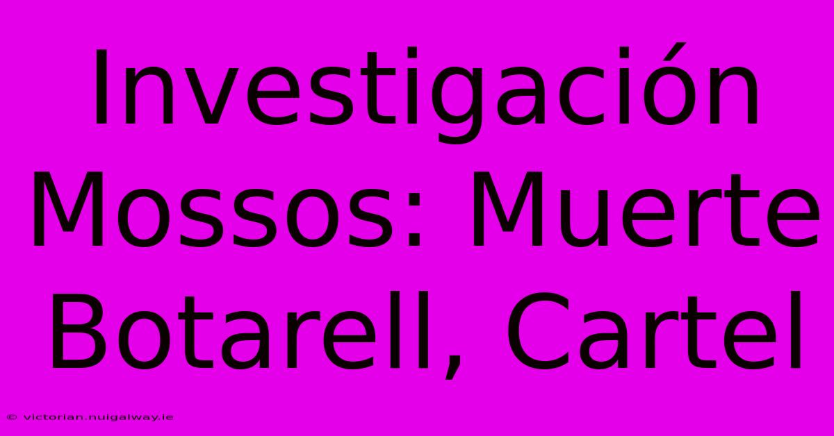 Investigación Mossos: Muerte Botarell, Cartel