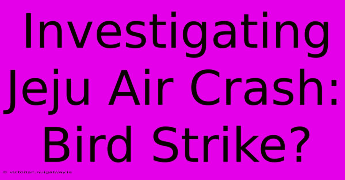 Investigating Jeju Air Crash: Bird Strike?