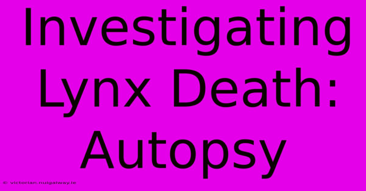 Investigating Lynx Death: Autopsy