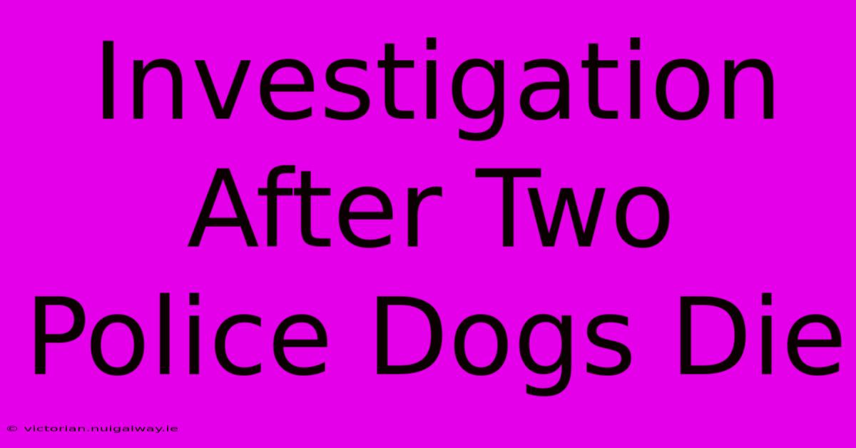 Investigation After Two Police Dogs Die 