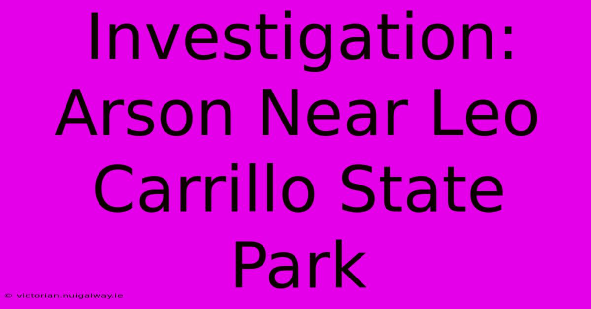 Investigation: Arson Near Leo Carrillo State Park