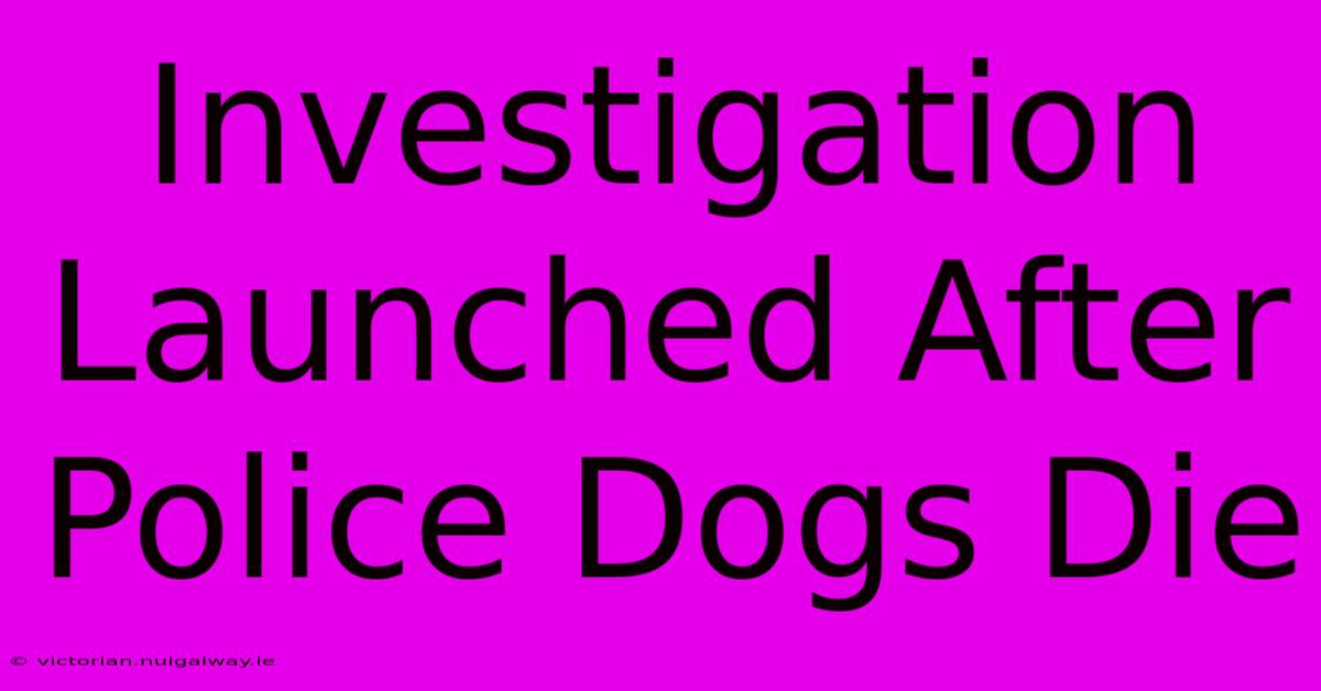 Investigation Launched After Police Dogs Die