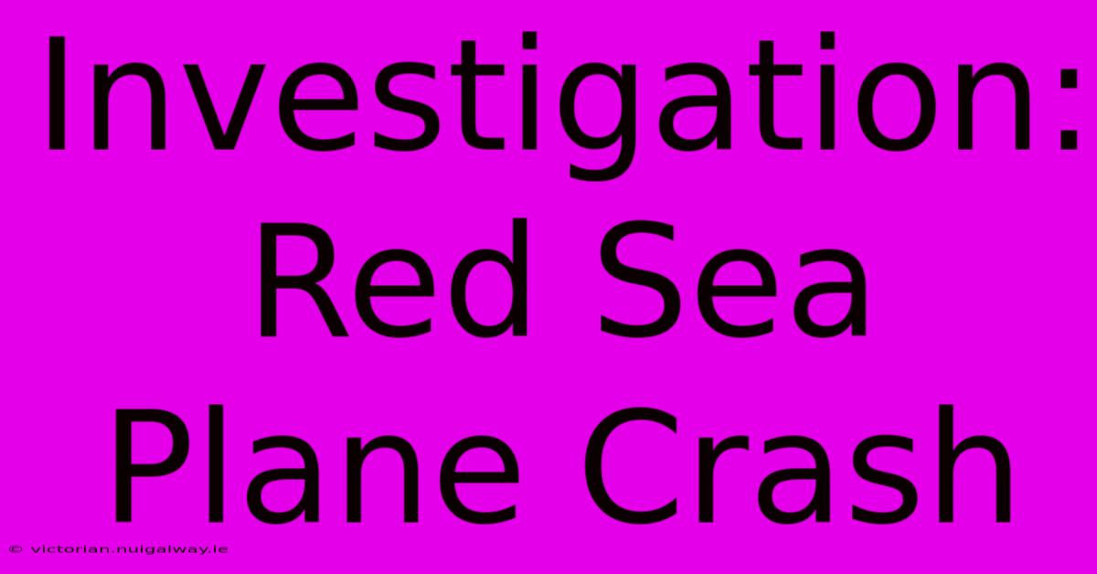 Investigation: Red Sea Plane Crash