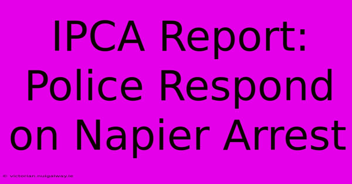 IPCA Report: Police Respond On Napier Arrest