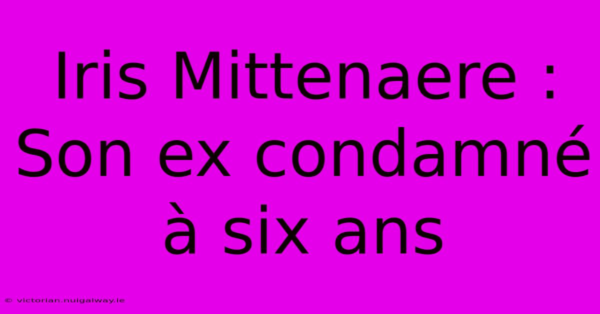 Iris Mittenaere : Son Ex Condamné À Six Ans
