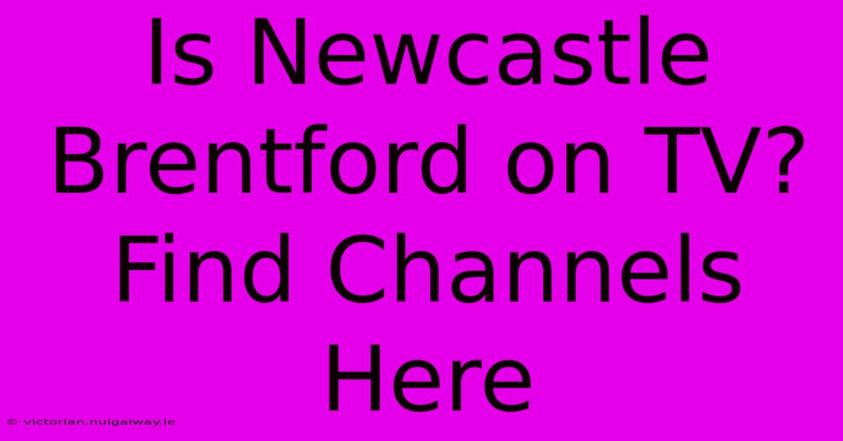 Is Newcastle Brentford On TV? Find Channels Here