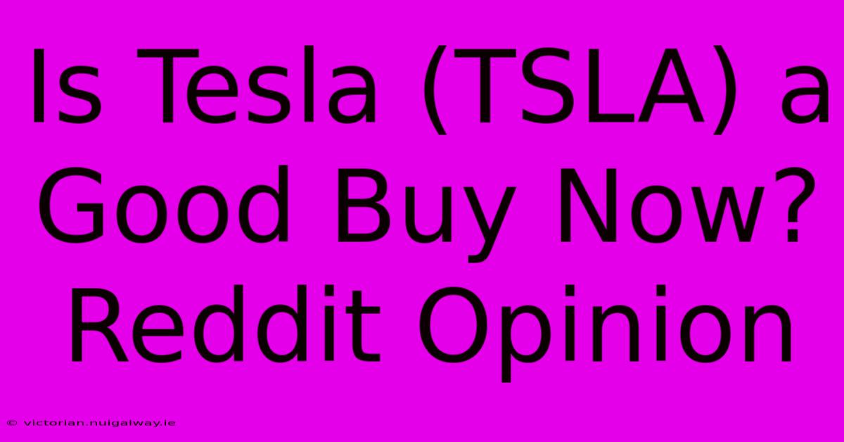 Is Tesla (TSLA) A Good Buy Now? Reddit Opinion