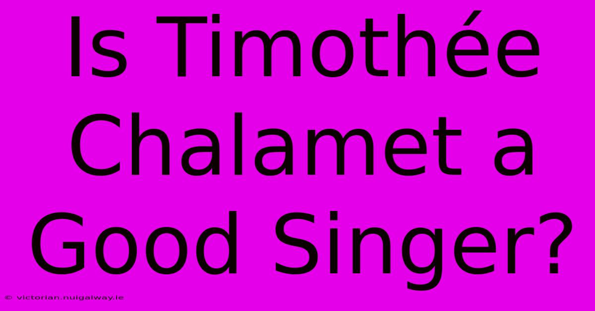 Is Timothée Chalamet A Good Singer?